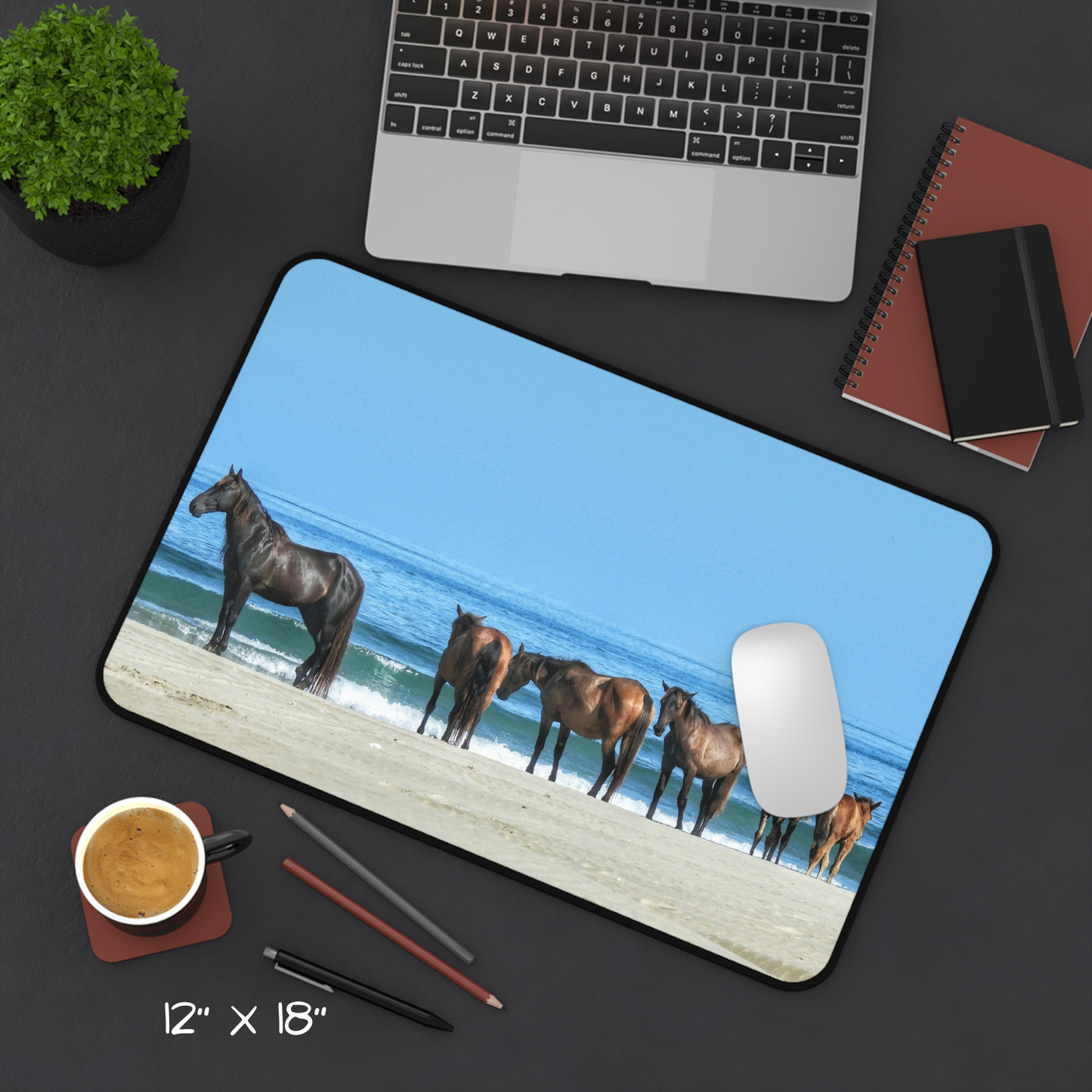 Stillness by the Sea