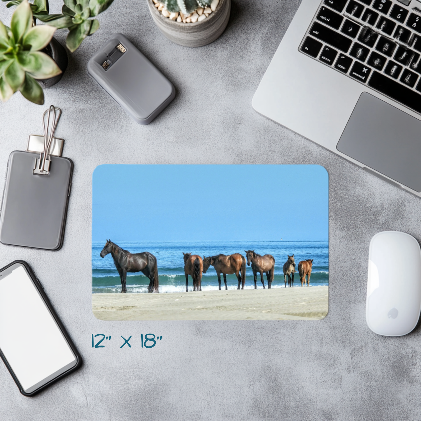 Stillness by the Sea