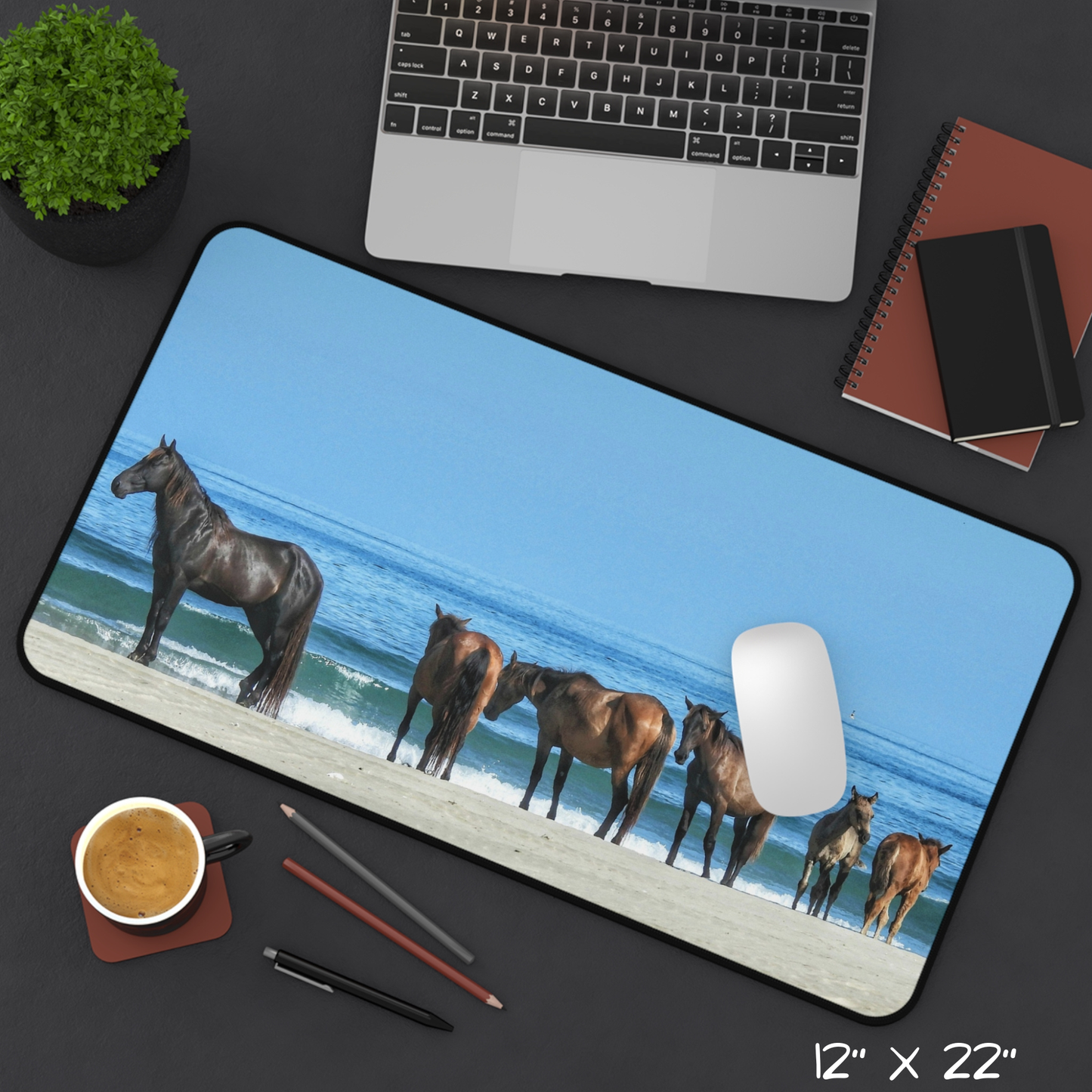 Stillness by the Sea