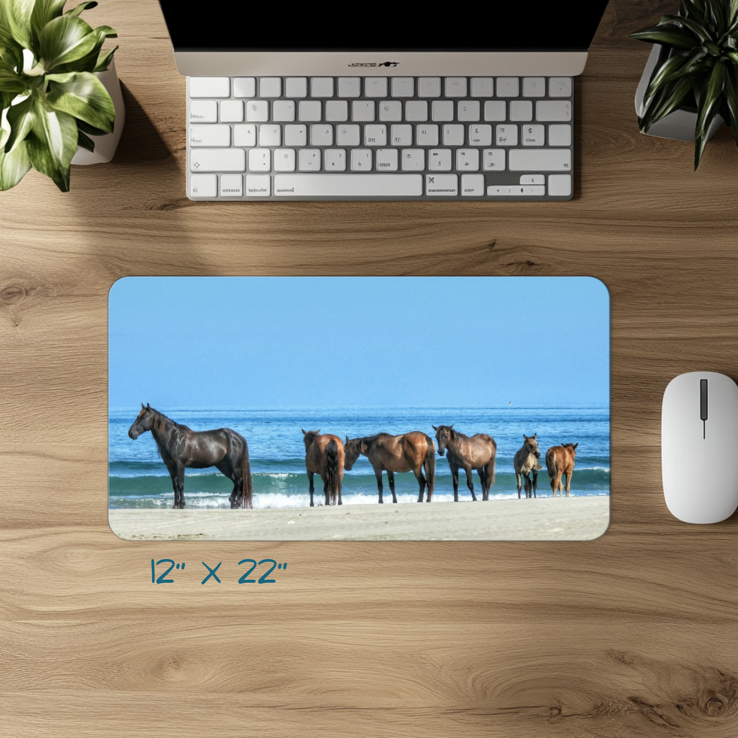 Stillness by the Sea