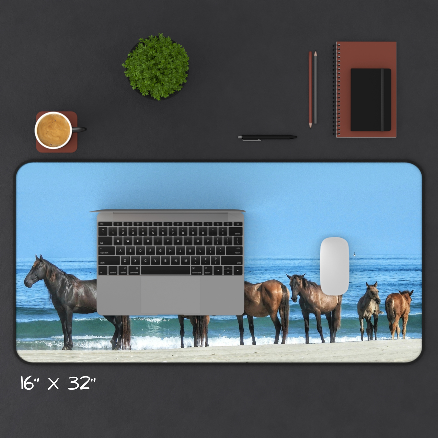 Stillness by the Sea