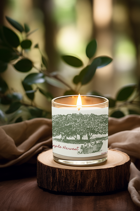 Ocean Petal Studio Signature Soy Candle Collection – 9oz Hand-Poured Comfort Candles for Self-Care & Gifting