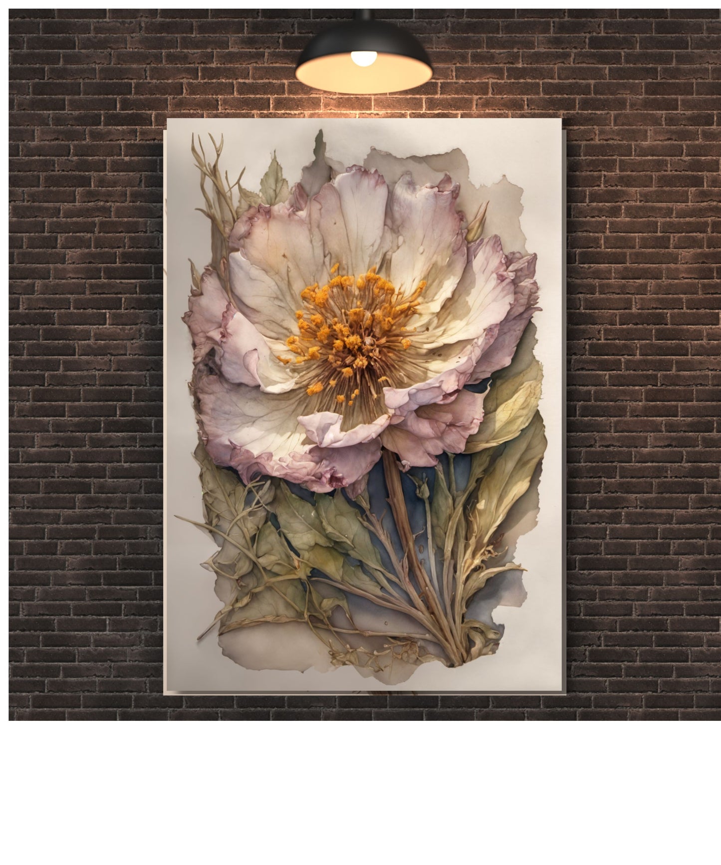 Vintage Purple Hellebore Canvas Print | Antique Dried Floral Botanical Wall Art