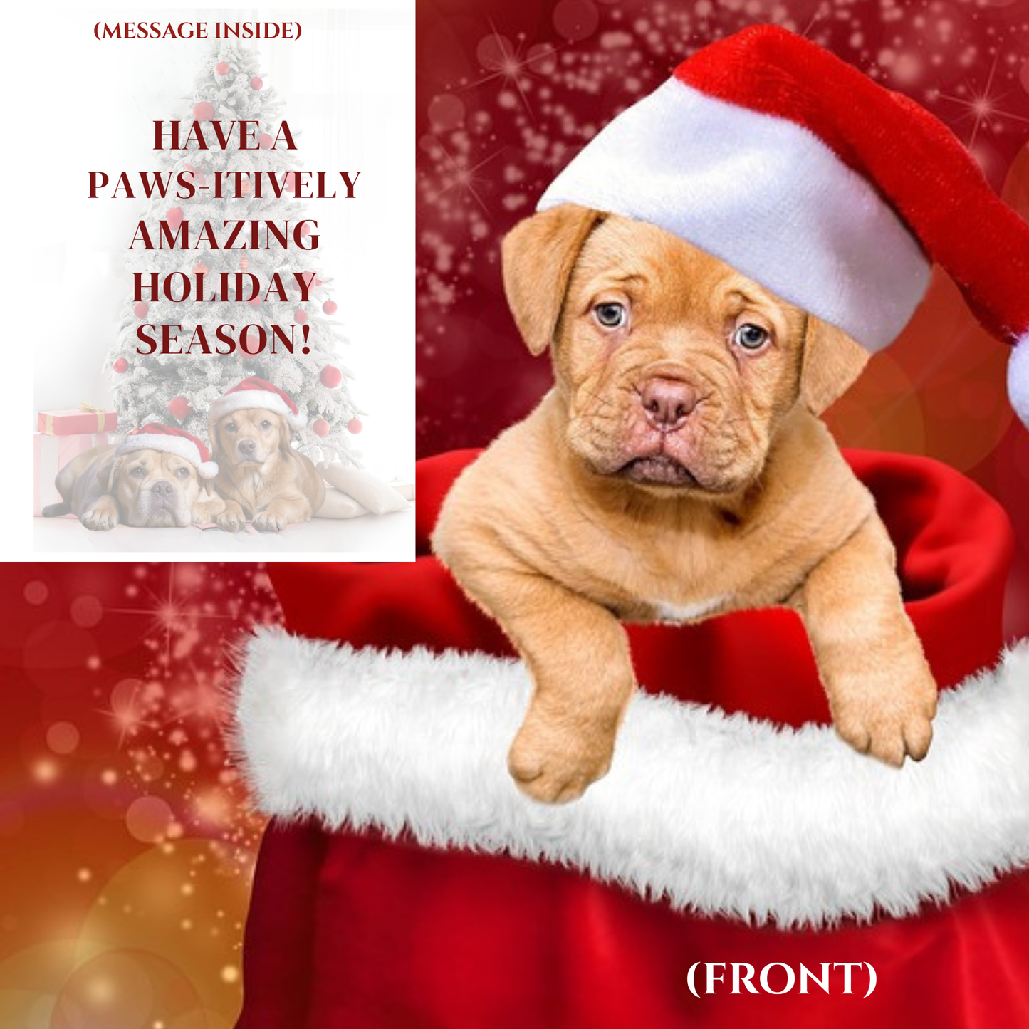 Paws-itively Festive Holiday Card – Cute Puppy Christmas Greeting for Pet Lovers, Friends & Family